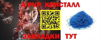 стафф Гай