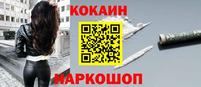 стафф Гай