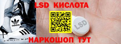 стафф Гай