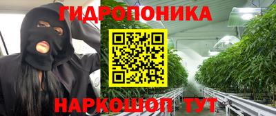 стафф Гай
