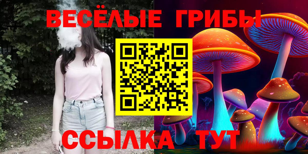 Галлюциногенные грибы Psilocybe  Вход с VPN  Нижний Новгород  Галлюциногенные грибы мухоморы 